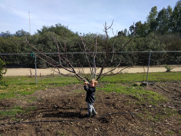 Sprinklers alder harvest yardposts gregalder